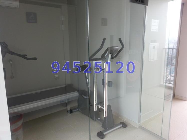 The Silver Fir (D15), Apartment #68208652